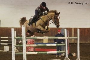 Natálie Roučková, Ahorn