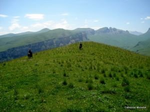 Náhorné plošiny v lete