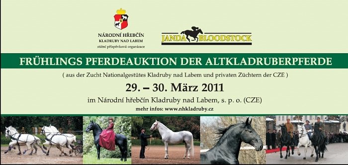 jarní dražba starokladrubských koní jarní dražba starokladrubských koní