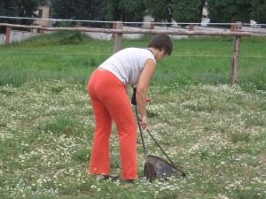 uklízení trusu minimalizuje riziko infekce parazity