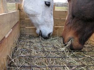 Krmelec slow feeders