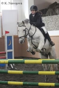 Hana Bařtipánová, Sandy 1