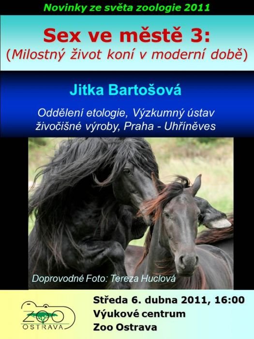 Sex ve městě 3 Sex ve městě 3