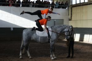 Voltiž při Dni otevřených dveří 12. 11. 2010