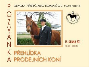 Přehlídka prodejních koní