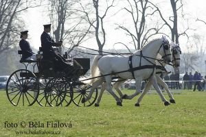 Jiří Nesvačil jun. v loňském ročníku Rudolfova poháru Jiří Nesvačil jun. v loňském ročníku Rudolfova poháru