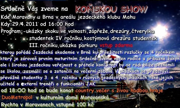 Koňská show