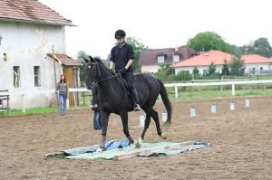 Plachta, v pozadí "demižonový slalom"