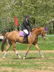 Denisa Pelechová a Stanley