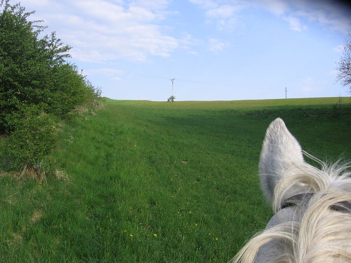 přiježďování v terénu