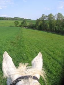 hranice mezi loukou a polem je dobrým optickým vodítkem