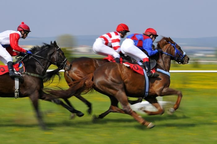 Cena Hulman - Kovošrot s.r.o.