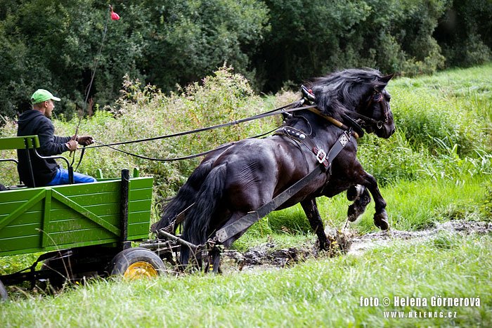 Skokem přes vodu! Skokem přes vodu!