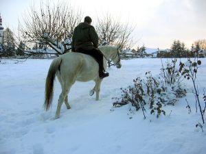 ježdění ve sněhu