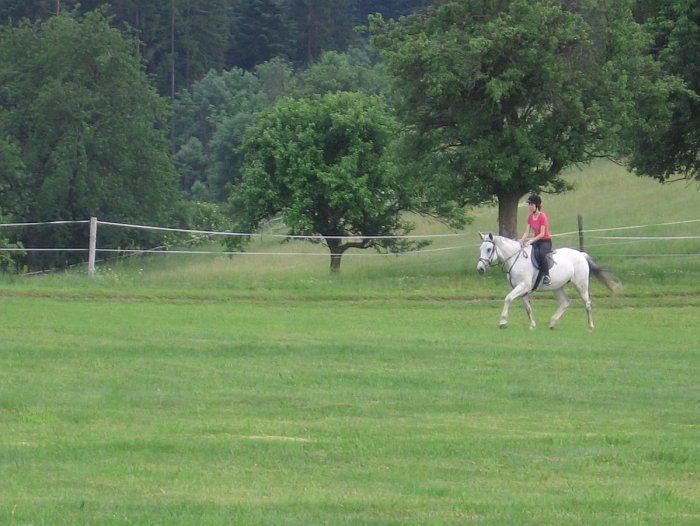 rovná travnatá louky rovná travnatá louky