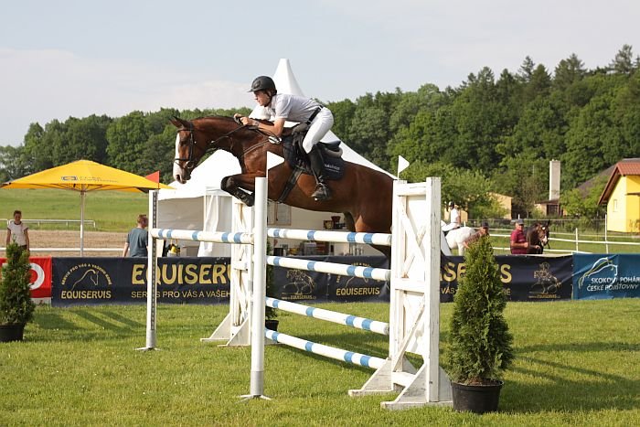 Jan Zwinger - Limit Jan Zwinger - Limit