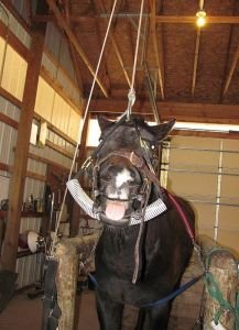 příprava na úpravu chrupu