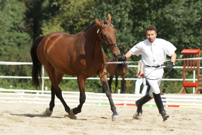 Ing. P. Galatík a klisna z jeho chovu