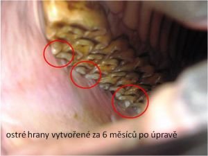 ostré hrany po 6 měsících