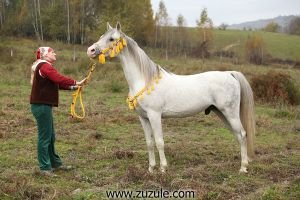 Petra Spodiaková a Urgraf