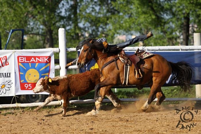 steer wrestling