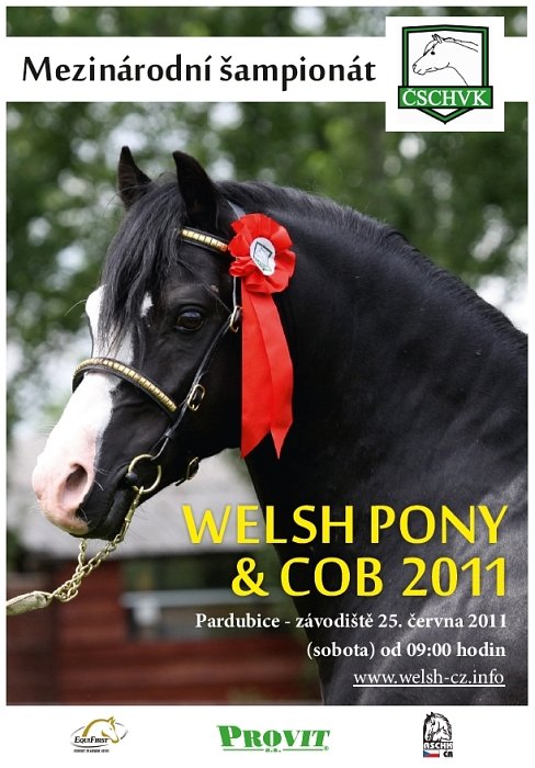 mezinárodní šampionát welsh pony a cob 2011
