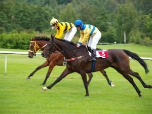 Samara Morgan a Pyšná Princezna v loňské KDM