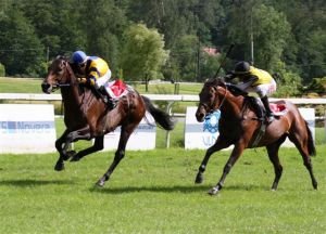 Madanpour a Honney Bunny