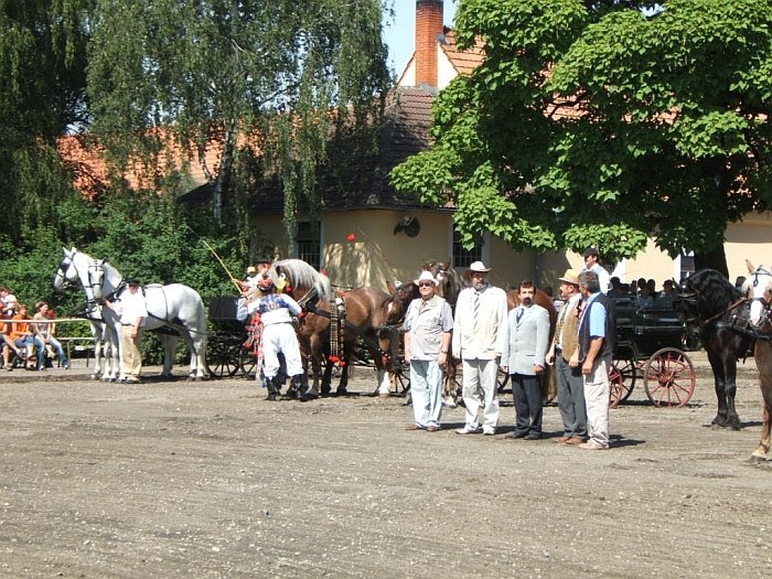 výstava v Tlumačově