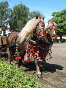 Z tlumačovské výstavy