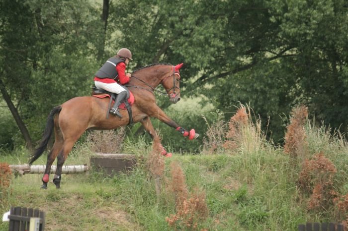 Hana Doleželová s Fallem (SS Vittoria) na překážce zvané schody Hana Doleželová s Fallem (SS Vittoria) na překážce zvané schody