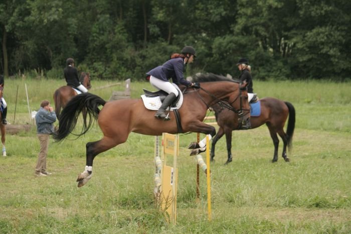 Dvoufázové skákání 95/105 cm Dvoufázové skákání 95/105 cm