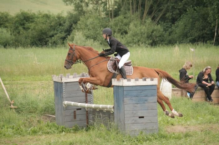 Seménková Soňa s koněm VIRGIN GOLD ze stáje Aryman Jankovice obsadili v této soutěži druhou příčku Seménková Soňa s koněm VIRGIN GOLD ze stáje Aryman Jankovice obsadili v této soutěži druhou příčku