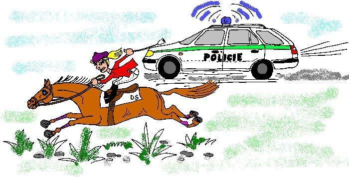 Kdo je rychlejší - anglický plnokrevník nebo policejní Felicie?