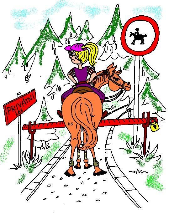 soukromý les... do toho se přece smí