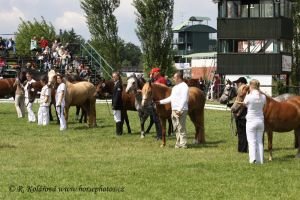 kategorie nejmenších