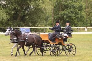 Monika Pospíšilová