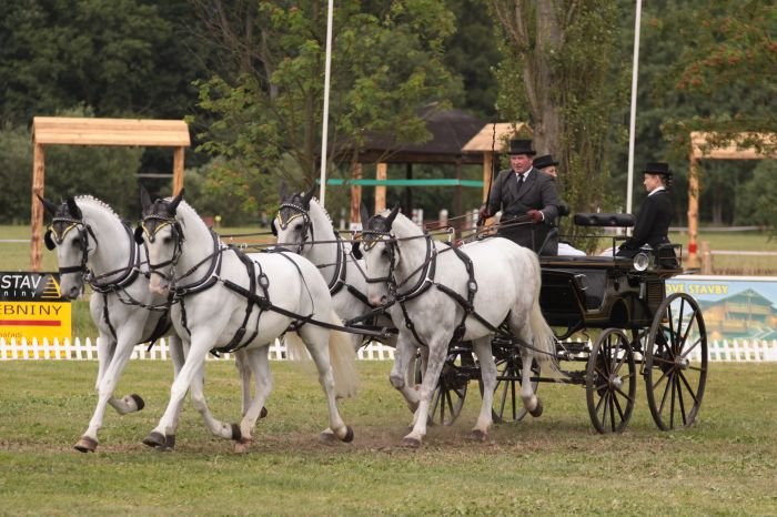 Jiří Nesvačil starší