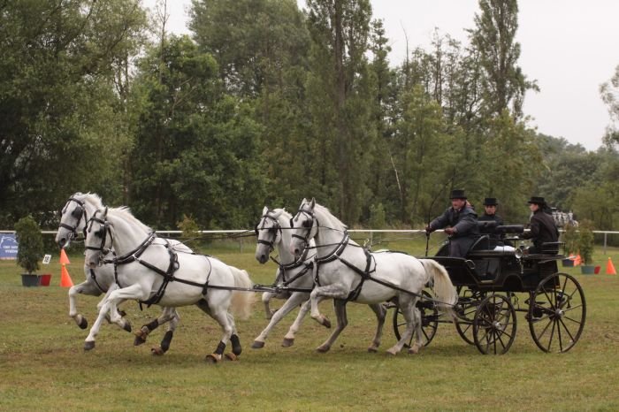 Jiří Nesvačil starší