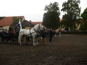 Z tlumačovské výstavy