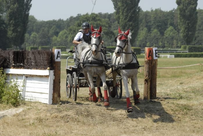 Z loňského premiérového závodu spřežení v Pardubicích