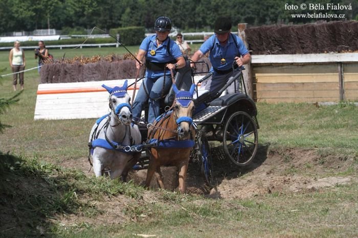 Mgr. Monika Pospíšilová s koňmi v maratonové překážce