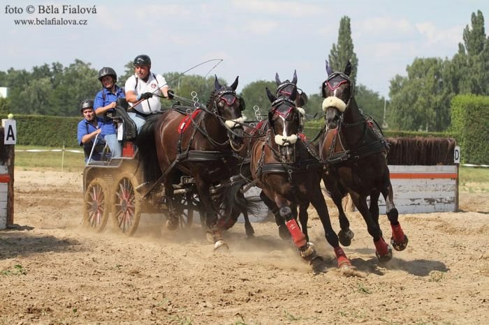 Zdeněk Jirásek zvítězil v kategorii čtyřspřeží