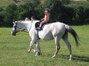 Posílám ti pozdrav, mami!