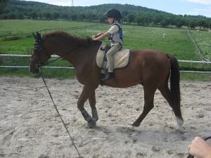 zavazování uzlu na otěžích