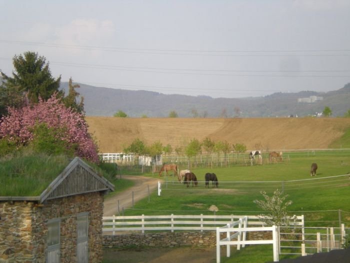 stáj se zelenou střechou