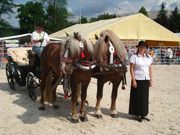 1586 Santys a 2907 Arnold 1586 Santys a 2907 Arnold