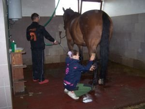 voltižní oddíl TJJ LUCKY Drásov