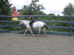 nácvik stehenního sedu v klusu