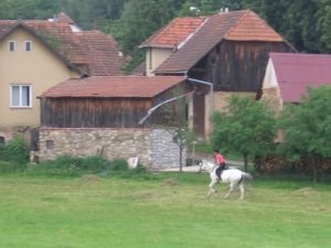ježdění ve všech chodech v terénu